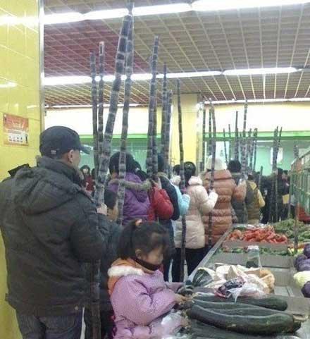 有一种思念叫望川秋水有一种寒冷叫忘穿秋裤，有种寒冷叫忘穿秋裤 有种思念叫望穿秋水（有一种思念叫做望穿秋水图片）