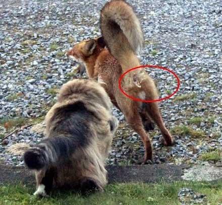 有一种思念叫望川秋水有一种寒冷叫忘穿秋裤，有种寒冷叫忘穿秋裤 有种思念叫望穿秋水（有一种思念叫做望穿秋水图片）