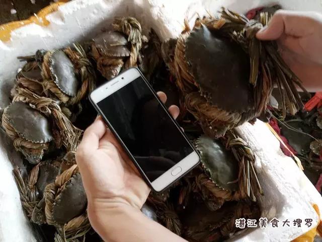 蜘蛛蟹的做法,蜘蛛蟹怎么煮(只隔着一个海鲜市场) 蜘蛛蟹的做法,蜘蛛蟹怎么煮(只隔着一个海鲜市场)
