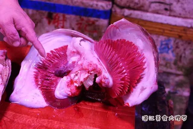 蜘蛛蟹的做法,蜘蛛蟹怎么煮(只隔着一个海鲜市场) 蜘蛛蟹的做法,蜘蛛蟹怎么煮(只隔着一个海鲜市场)