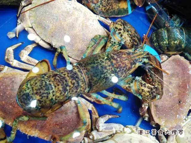 蜘蛛蟹的做法,蜘蛛蟹怎么煮(只隔着一个海鲜市场) 蜘蛛蟹的做法,蜘蛛蟹怎么煮(只隔着一个海鲜市场)
