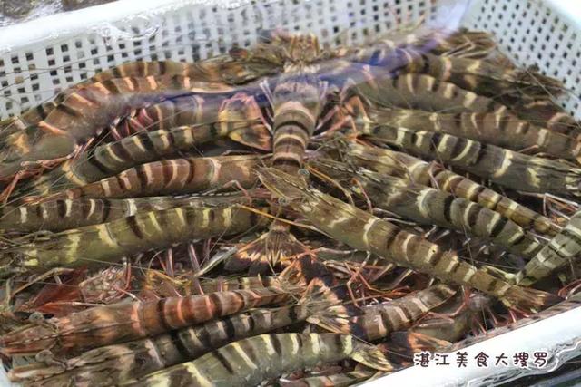 蜘蛛蟹的做法,蜘蛛蟹怎么煮(只隔着一个海鲜市场) 蜘蛛蟹的做法,蜘蛛蟹怎么煮(只隔着一个海鲜市场)