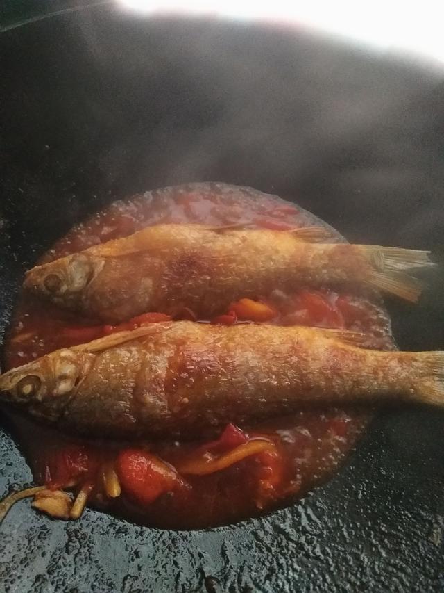 青竹鱼怎么做好吃,青竹鱼的做法窍门(今天给大家做一