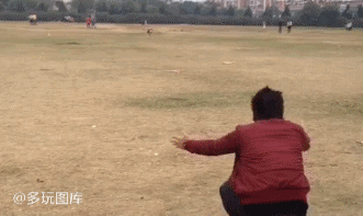 韩红的这个鸡儿是什么梗，韩红 你是哪一个（搞笑GIF：教练说减肥）