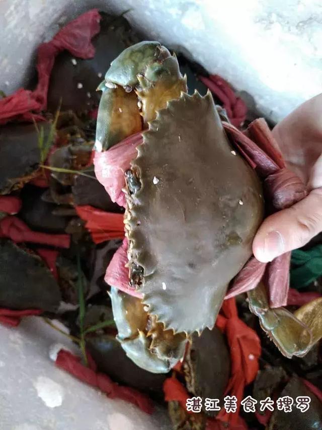 蜘蛛蟹的做法,蜘蛛蟹怎么煮(只隔着一个海鲜市场) 蜘蛛蟹的做法,蜘蛛蟹怎么煮(只隔着一个海鲜市场)