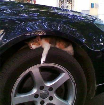 有一种思念叫望川秋水有一种寒冷叫忘穿秋裤，有种寒冷叫忘穿秋裤 有种思念叫望穿秋水（有一种思念叫做望穿秋水图片）