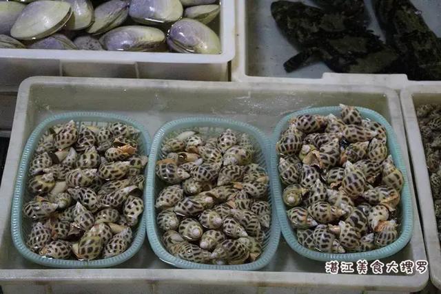 蜘蛛蟹的做法,蜘蛛蟹怎么煮(只隔着一个海鲜市场) 蜘蛛蟹的做法,蜘蛛蟹怎么煮(只隔着一个海鲜市场)