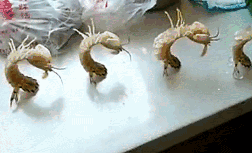 蜘蛛蟹的做法，蜘蛛蟹怎么煮（只隔着一个海鲜市场）