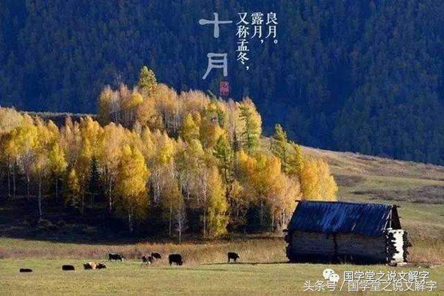 苟且是什么意思，苟且之事是什么意思（说文解字：偷、盗、窃的区别）