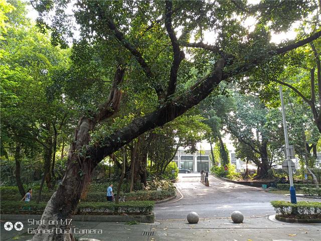 金立手机怎样恢复出厂设置，金立手机怎样恢复出厂设置密码是多少