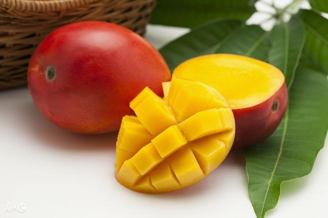 芒果有止血的作用吗，月经期能吃芒果吗（芒果能止血但是不止大姨妈！）