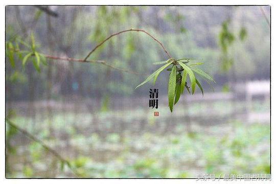 诗词欣赏：每人一首代表作之朱熹、秦观、赵长卿、贺铸、黄庭坚