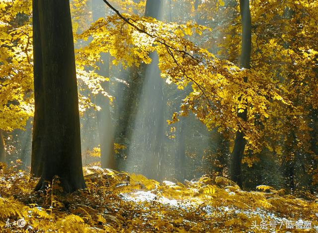 我们都在怀念过去，我们都在怀念过去是什么歌（我们总是怀念过去的日子）