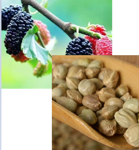 医德是什么，医德是什么的职业道德（你居然不知道大姨妈来的那几天）