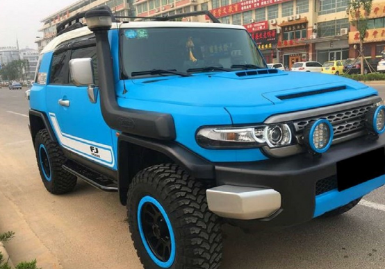 fj是什么牌子，马克华菲是什么牌子（FJ酷路泽小伙花40万买下来）