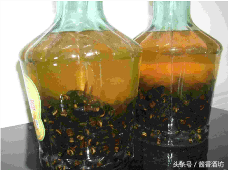 虎头蜂泡酒有什么功效，如何浸泡虎头蜂酒