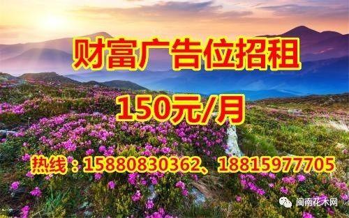 全冠香樟是什么意思，丛生全冠香樟（全冠香樟种植技术）