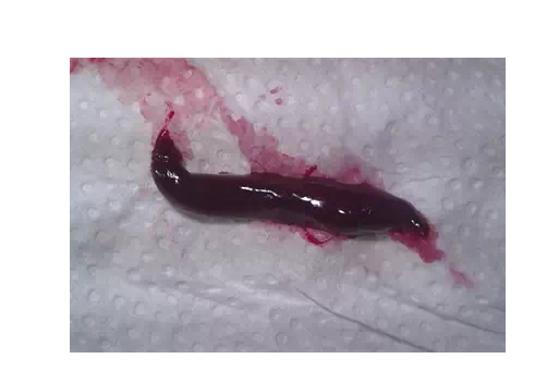 医德是什么，医德是什么的职业道德（你居然不知道大姨妈来的那几天）