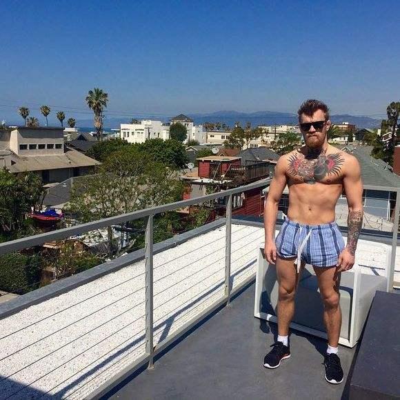 康纳，微信头像，康纳（康纳麦格雷戈壁纸）