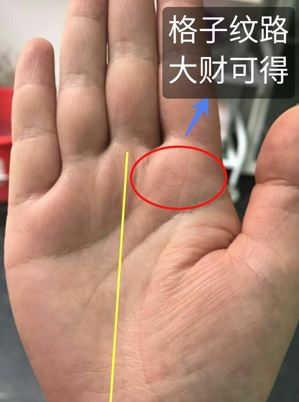教你看手纹情况如何，手纹怎么看（3分钟教你学会看手相）