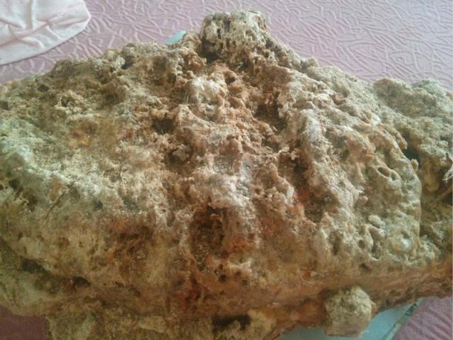 龙涎香是什么东西，龙涎香是什么东西做的（龙涎香到底是什么，怎么来的）