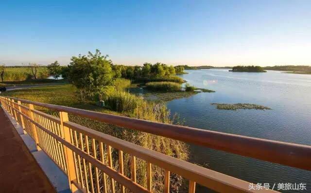 旱的成语有哪些，旱的成语有哪些词语（都跟这座齐国故都有关）