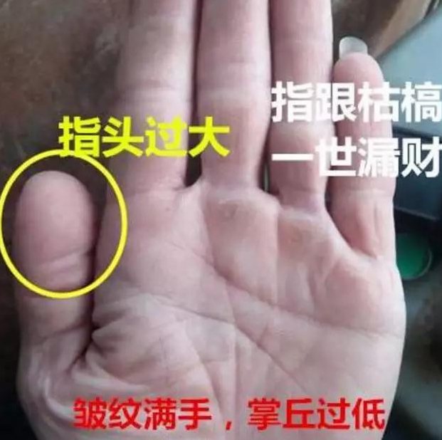 教你看手纹情况如何，手纹怎么看（3分钟教你学会看手相）
