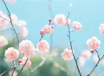 2014星座运势，乐城星座2014年星座运势（苏珊10.13运势）