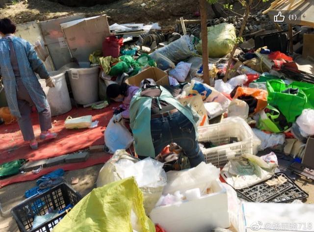 释小龙老婆杨丽晓，释小龙老婆杨丽晓介绍（还记得《少年包青天3》的小狸吗）