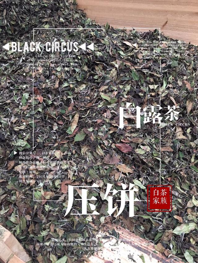 白茶养胃吗，陈皮白茶养胃吗（白茶还是红茶呢）