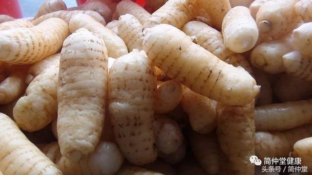 天麻的功效，天麻的功效与作用及禁忌（天麻居然还有这些功效）