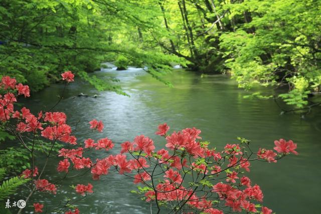 75年兔女性晚年状况，尤其是75年<43岁>的