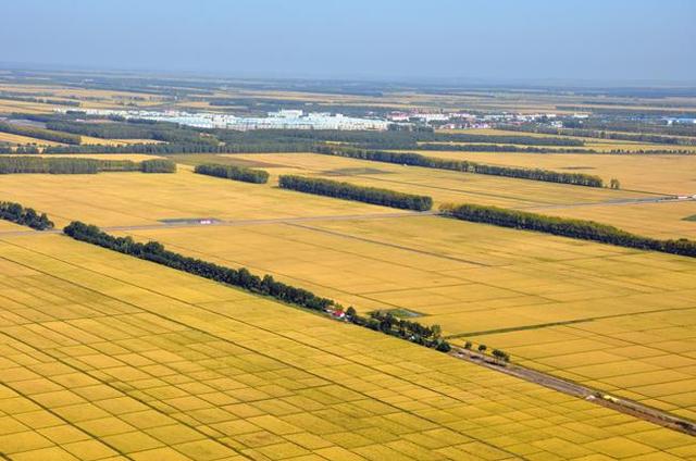 三江平原是哪三江，三江平原指的哪三江（美丽富饶的三江平原）
