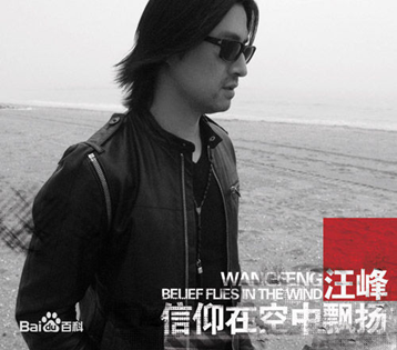 也许迷途的惆怅，也许迷途的惆怅敲碎我的脚步是什么歌曲（《那年我五岁》汪峰的音乐翻译之路）