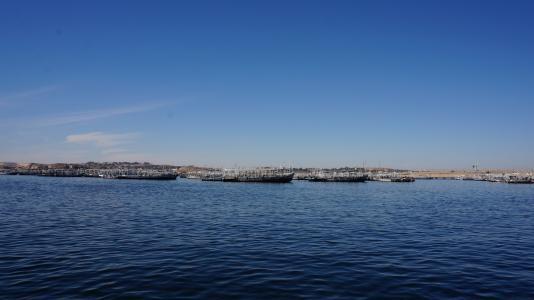 尼罗河在哪个国家，尼罗河在哪个国家入海（尼罗河在哪个国家）