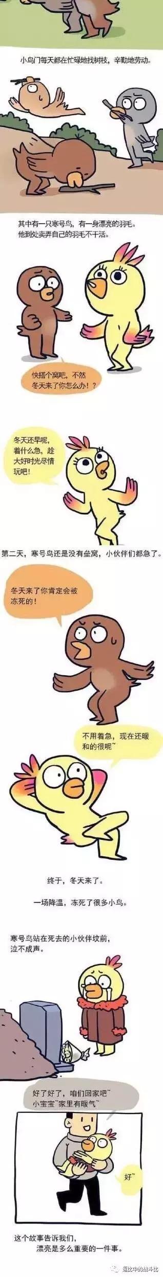 亚麻跌是什么意思呢，亚麻跌是啥意思（逗比搞笑窗：大晚上）