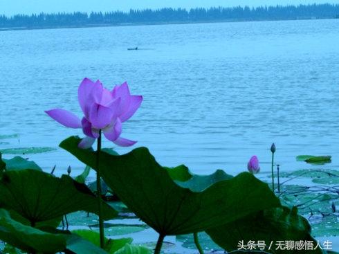 湖北省潜江市属于哪一个市，湖北潜江属于哪个市（中国县域介绍——湖北省潜江市）