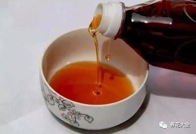 食醋治月季黑斑病，食醋治月季黑斑病比例（爱吃醋喝油的花）