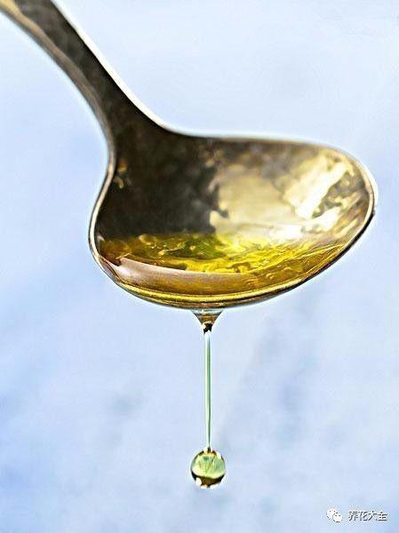 食醋治月季黑斑病，食醋治月季黑斑病比例（爱吃醋喝油的花）