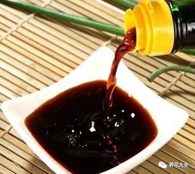 食醋治月季黑斑病，食醋治月季黑斑病比例（爱吃醋喝油的花）