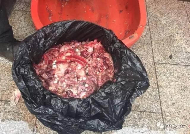 食醋治月季黑斑病，食醋治月季黑斑病比例（爱吃醋喝油的花）