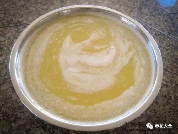 食醋治月季黑斑病，食醋治月季黑斑病比例（爱吃醋喝油的花）