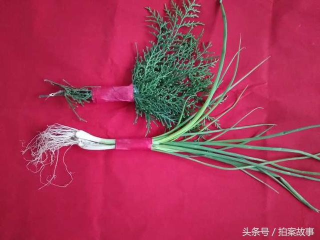 抓周都有哪些东西,周岁抓周有哪几样东西(你们那里也是如此吗) 抓周都有哪些东西,周岁抓周有哪几样东西(你们那里也是如此吗)