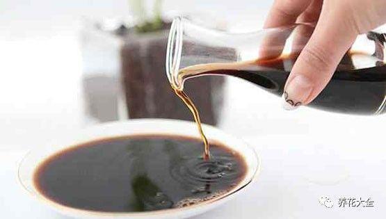 食醋治月季黑斑病，食醋治月季黑斑病比例（爱吃醋喝油的花）