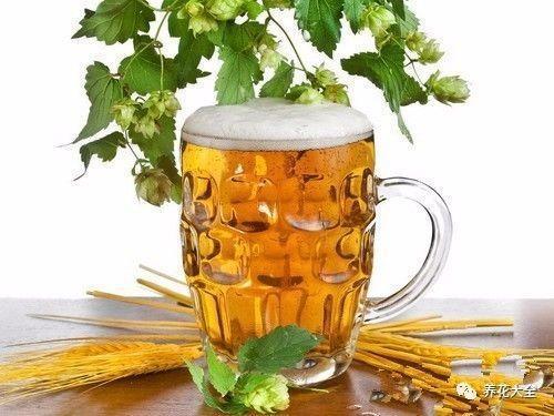 食醋治月季黑斑病，食醋治月季黑斑病比例（爱吃醋喝油的花）