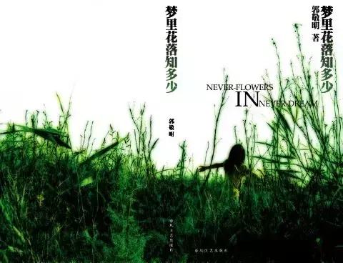 郭妮作品介绍,郭妮的作品有哪些(看过三本以上的转走祭奠青春吧) 郭妮作品介绍,郭妮的作品有哪些(看过三本以上的转走祭奠青春吧)