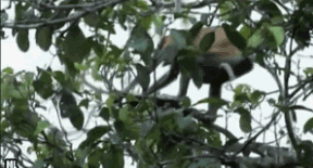 诺基亚1112，诺基亚1112怎么调中文（每日爆笑10则：自从有了孩子）