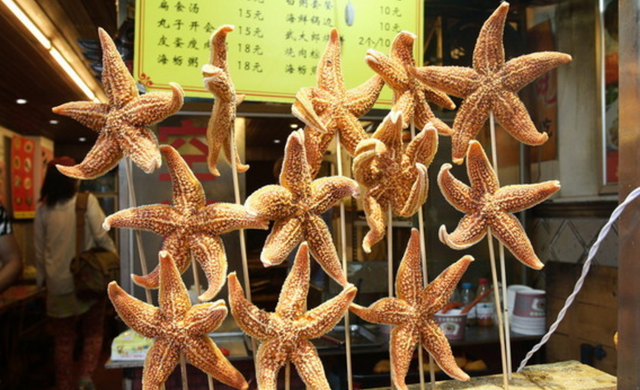 海星能吃吗，黄色海星能吃吗（吃了那么多海鲜，你敢吃海星么）