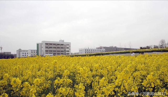 华中农业大学怎么样，排名好不好（花园式大学～华中农业大学）