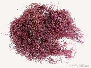 果胶是什么，果胶是什么的细胞壁（天寒有什么区别）